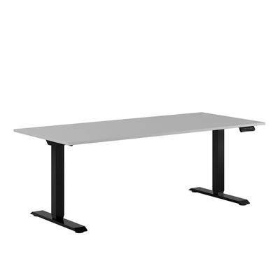 Premium - Höj & sänkbara bord med 2 motorer